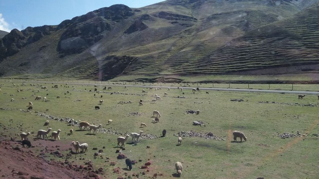 cubaIMG 20171130 084247 Peru – Paracas – Cusco – Rainbow Mountains