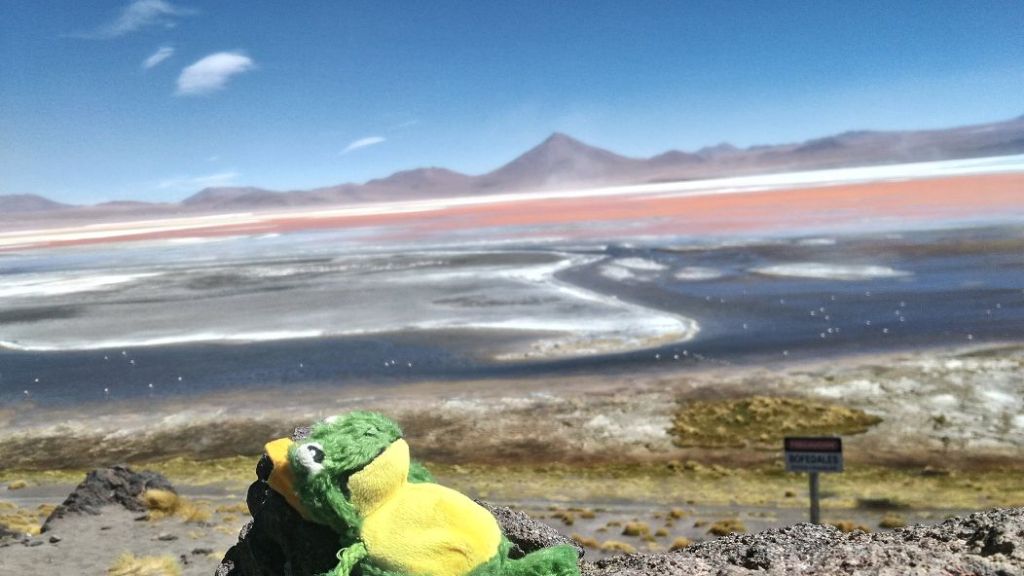 ultraschallIMG 20180121 145704 Uyuni   Atacama Wüste / Chile