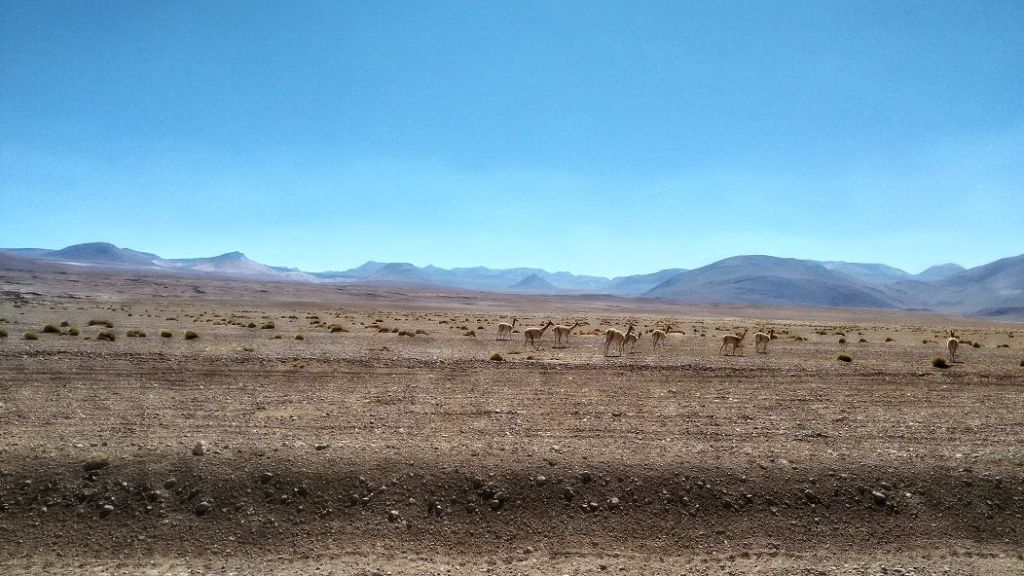 ultraschallIMG 20180121 153607 Uyuni   Atacama Wüste / Chile