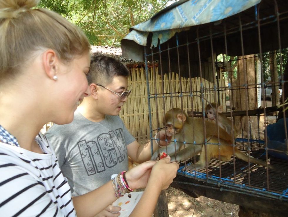 DSC04312 980x740 Von Bangkok nach Chiang Mai