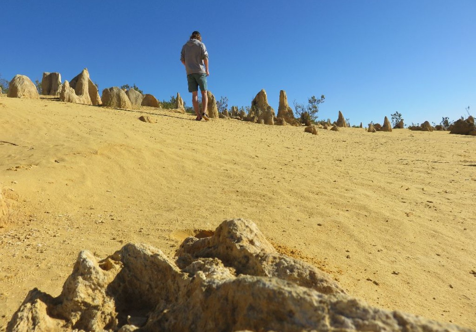 IMG 2069 1520x1060 2. 3. Tag Westcoast Pinnacles Jurien Bay