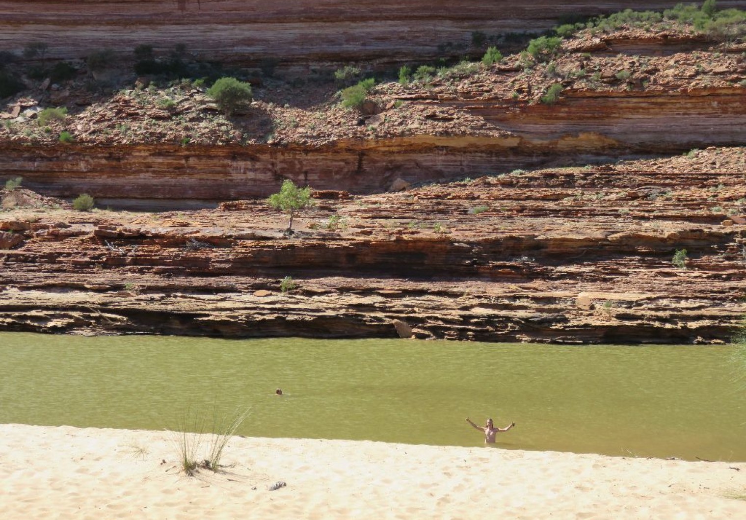 IMG 2382 1520x1060 Hutt River   Kalbarri Nationalpark