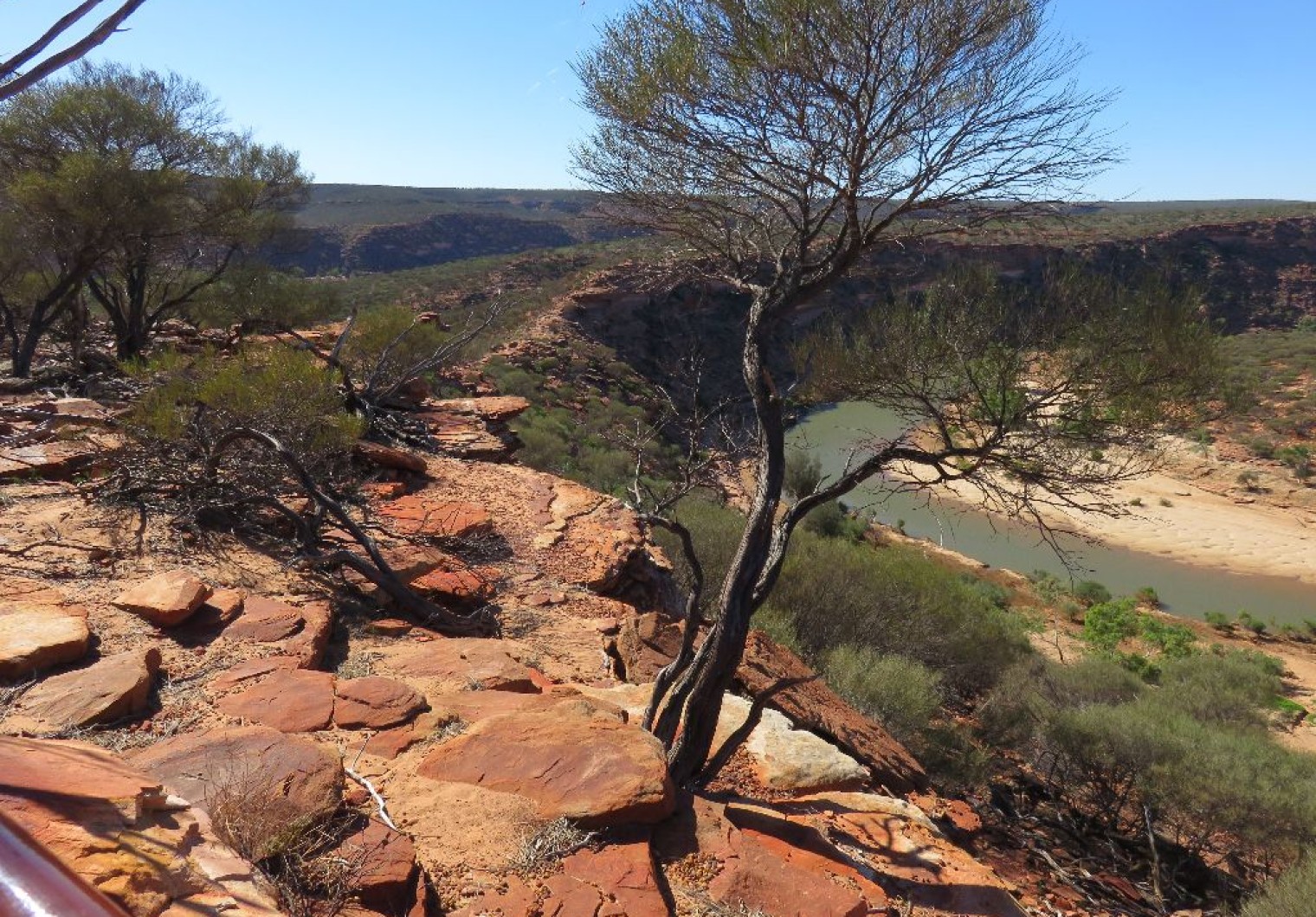 IMG 2396 1520x1060 Hutt River   Kalbarri Nationalpark