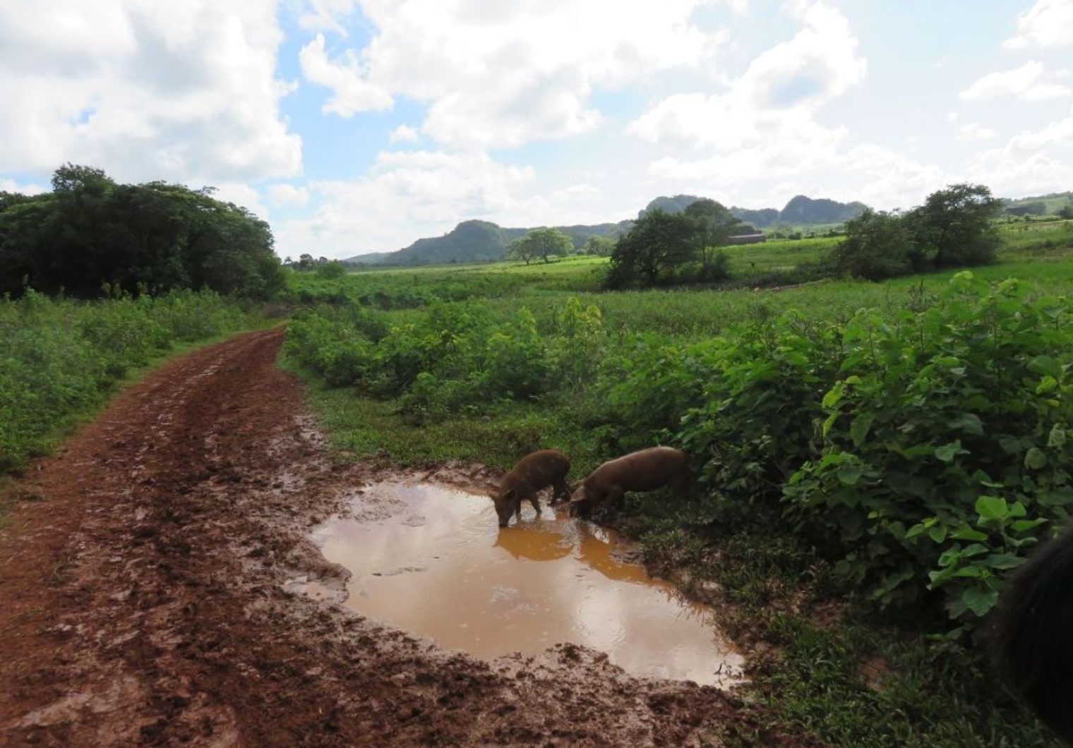 cubaIMG 3976 1520x1060 KUBA   Traumhafte Landschaft und ein eigenes System