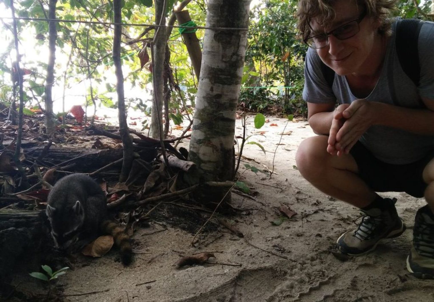 cubaIMG 20171031 094403 1520x1060 Costa Rica   Manuel Antonio Nationalpark