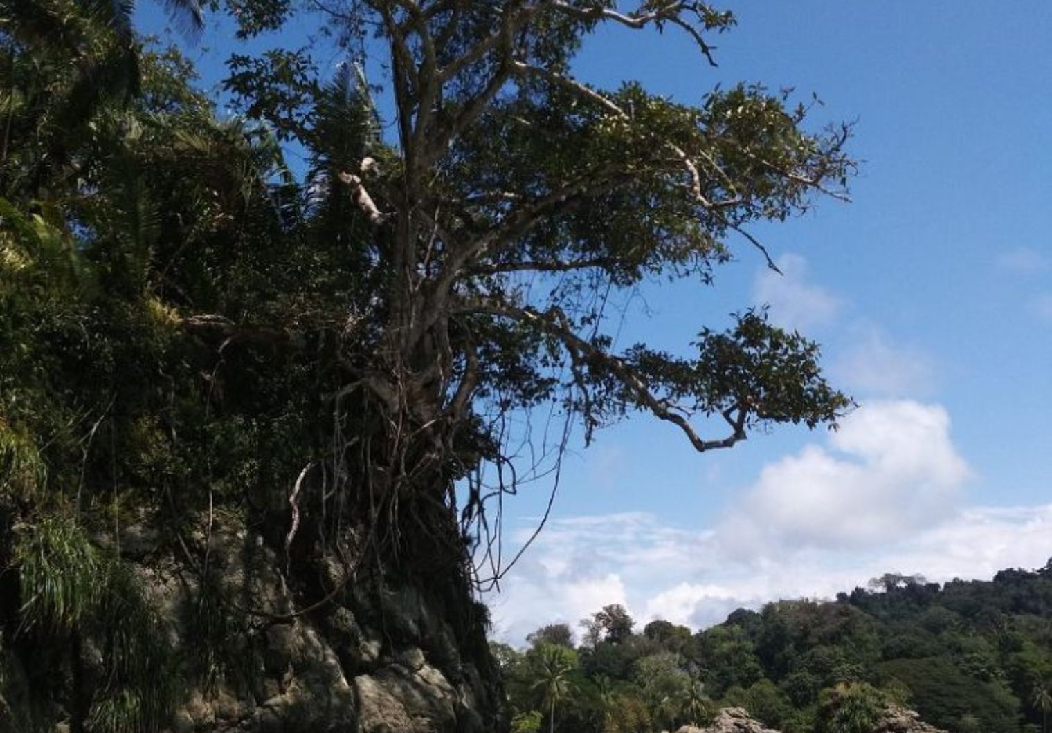 cubaIMG 20171031 104213 1520x1060 Costa Rica   Manuel Antonio Nationalpark