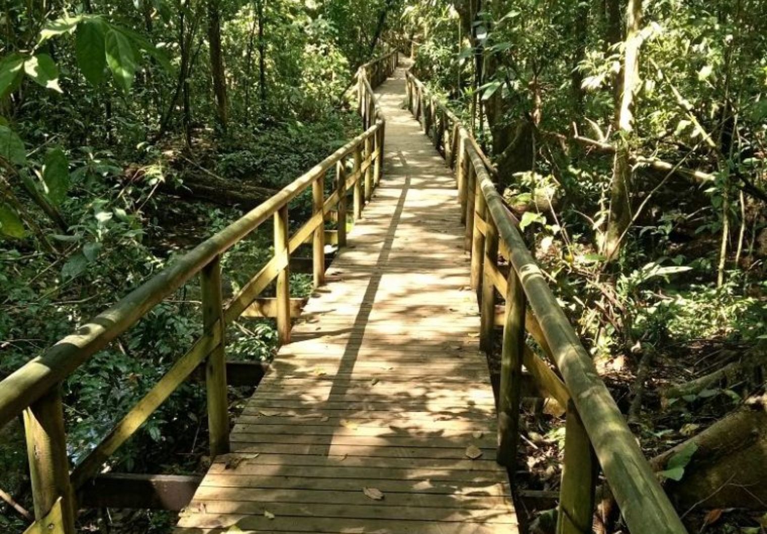 cubaIMG 20171031 123449 1520x1060 Costa Rica   Manuel Antonio Nationalpark